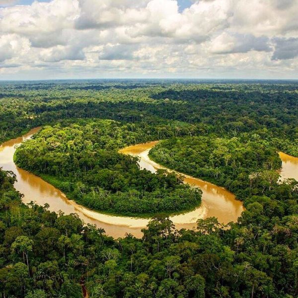 O Que Está Acontecendo Com A Amazônia E O Que Podemos Fazer Vida Carioca 6832